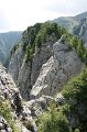 IMG_6070