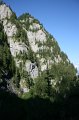 IMG_6103
