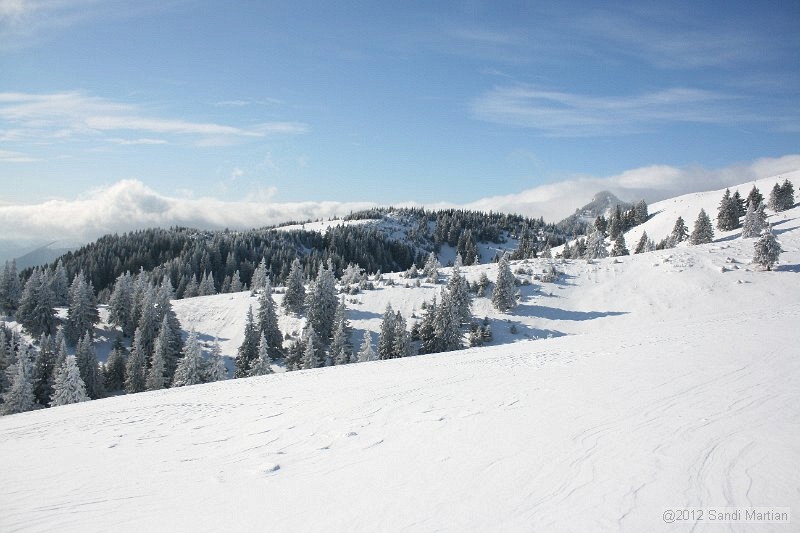 IMG_7450.JPG