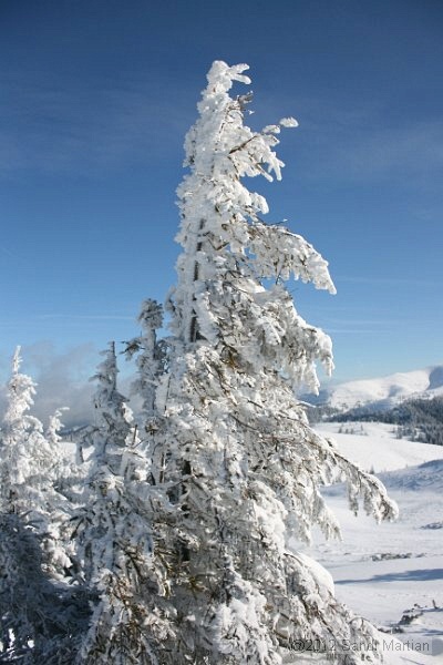 IMG_7467.JPG