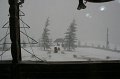 IMG_7419