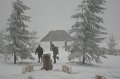 IMG_7420
