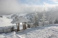 IMG_7425