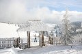 IMG_7432