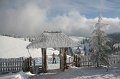 IMG_7433