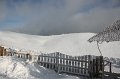 IMG_7434