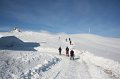 IMG_7441