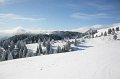 IMG_7450