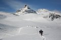 IMG_7462