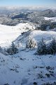 IMG_7487