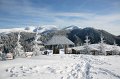 IMG_7513