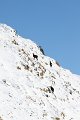 IMG_0475