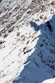 IMG_0485