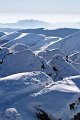 IMG_0507