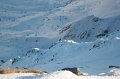 IMG_7359