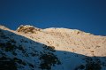IMG_7383