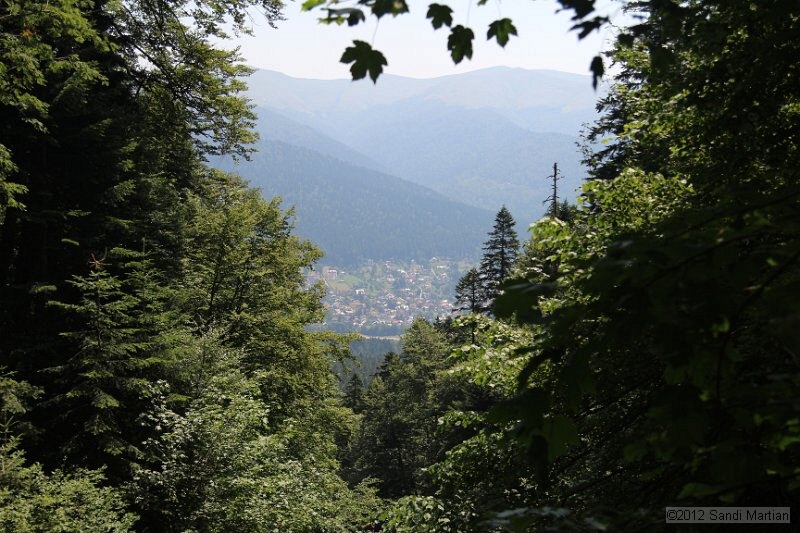 IMG_0537.JPG