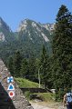 IMG_0516