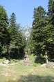 IMG_0519