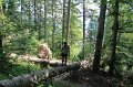 IMG_0523
