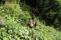 IMG_0524