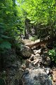 IMG_0526