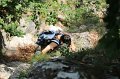 IMG_0534