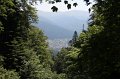 IMG_0537