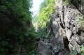 IMG_0542