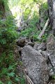 IMG_0544