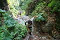 IMG_0545