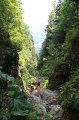 IMG_0546
