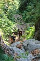 IMG_0547