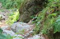 IMG_0549