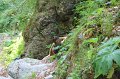 IMG_0550