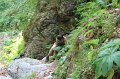 IMG_0551