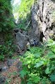 IMG_0552