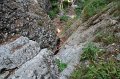 IMG_0558