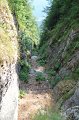 IMG_0569