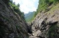 IMG_0572