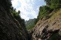 IMG_0575