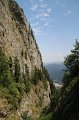 IMG_0580