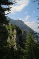 IMG_0587