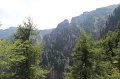 IMG_0593