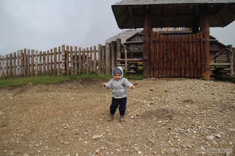 IMG_8338.JPG