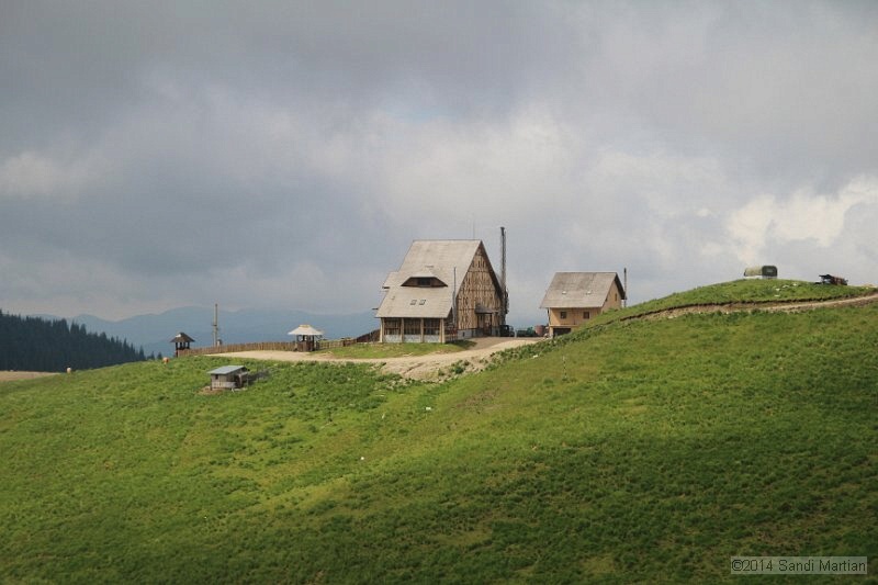 IMG_8342.JPG