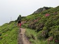IMG_0420