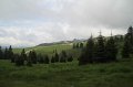 IMG_8347