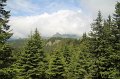 IMG_8355