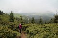 IMG_8382